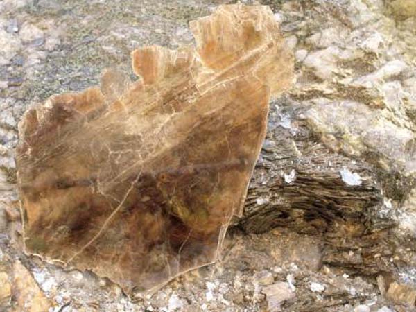 云母含鐵愈高時(shí)，顏色愈深，同時(shí)多色性和吸收性增強(qiáng)